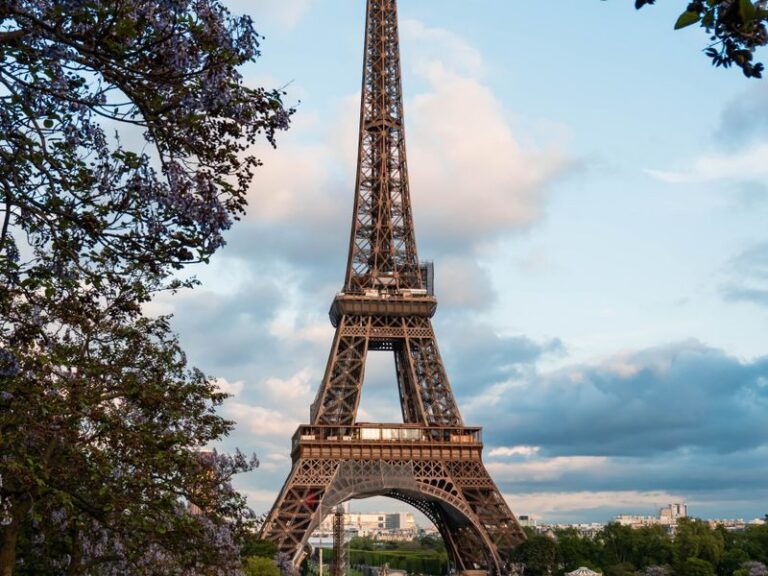 La tour Eiffel vue depuis les arbres en fleurs a Paris